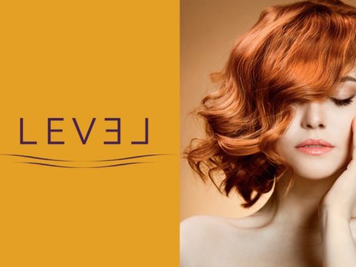 Level