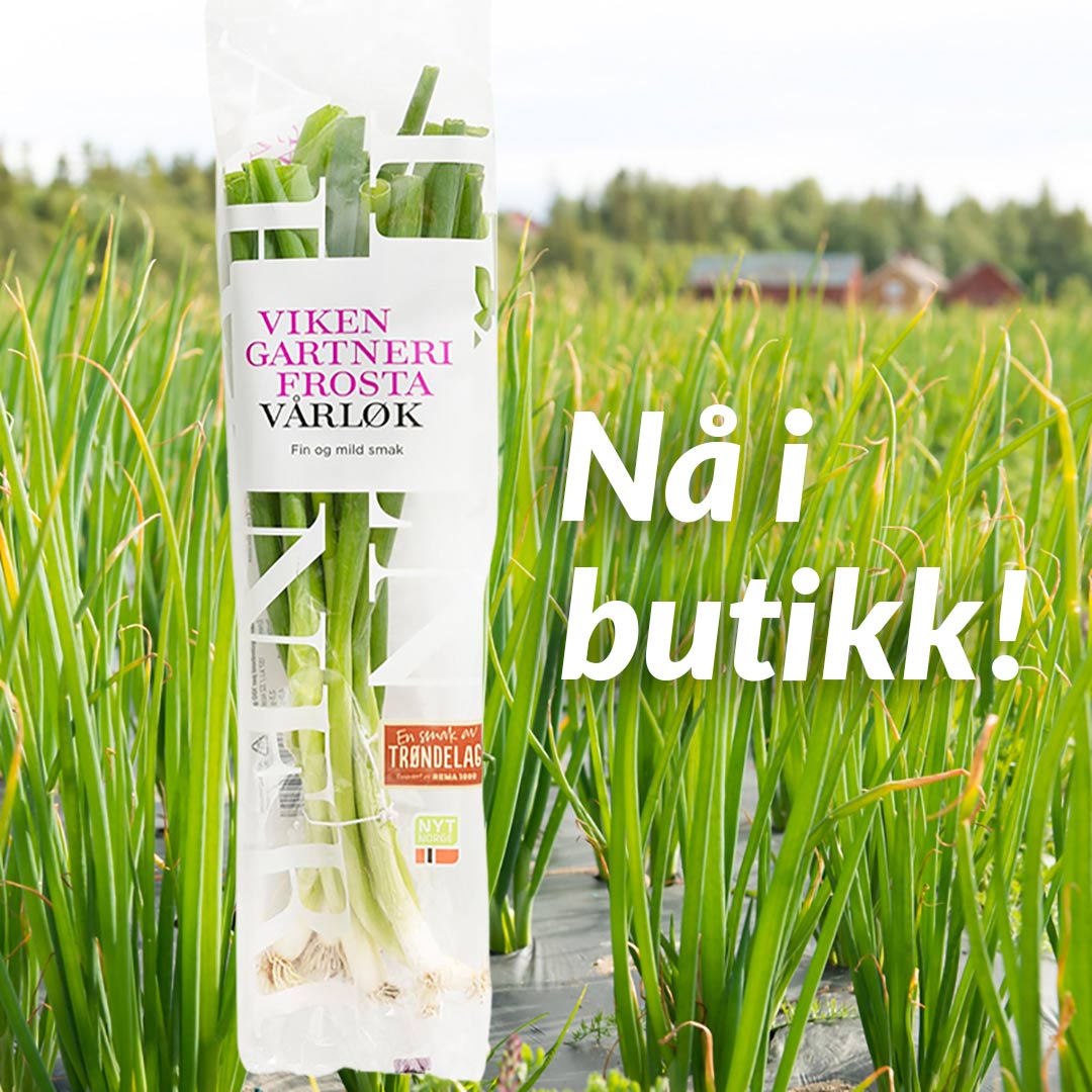 redigert_vårløk redigert varlok
